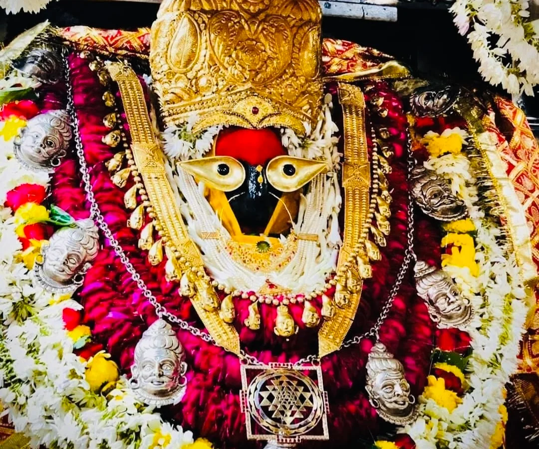 Dhan Dayak Maa Vindhyavasini Shree Yantra Sahasranama Archan